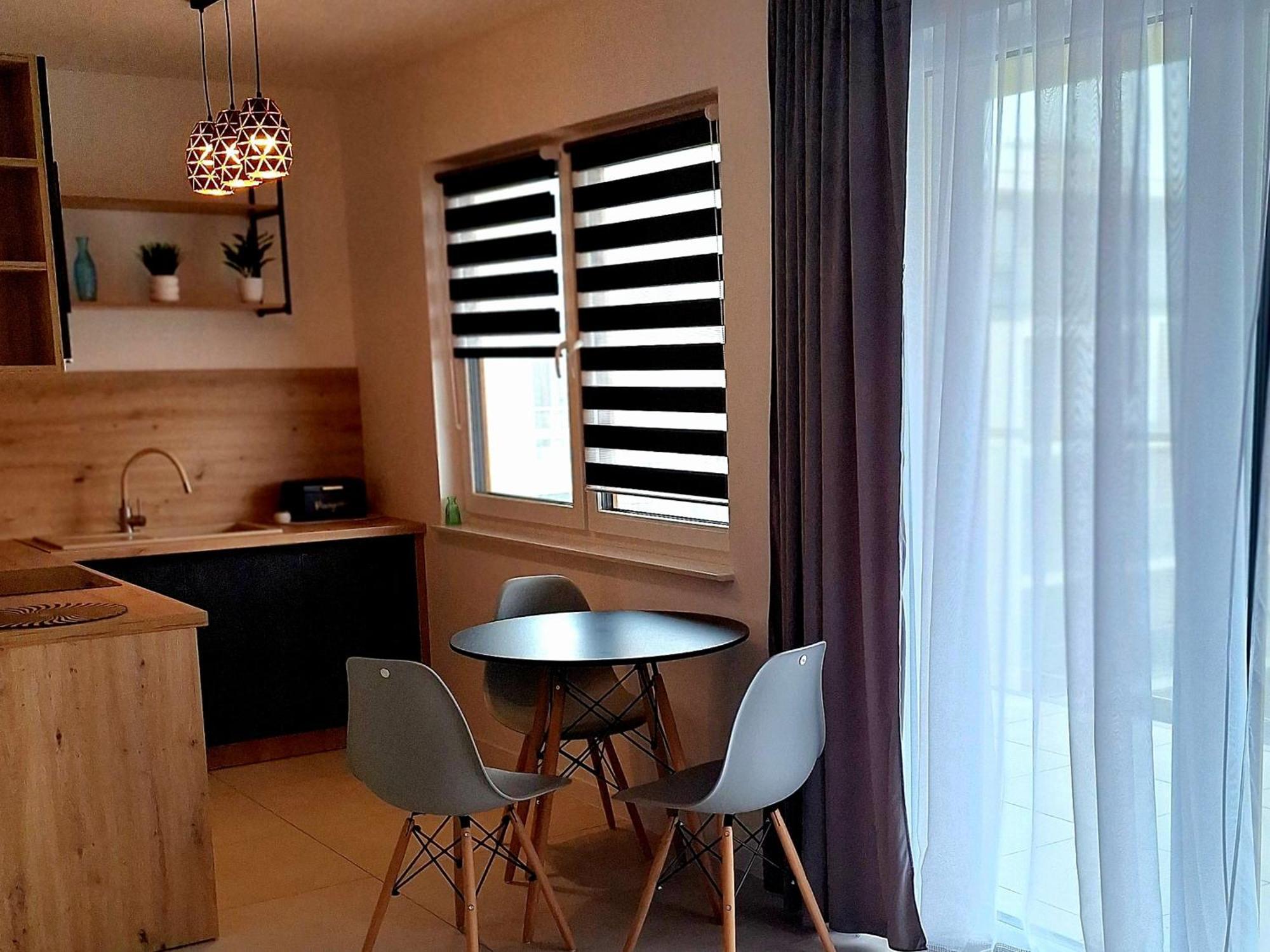 Grey Polana Szaflarska Apartment *